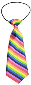 Big Dog Rainbow Neck Tie