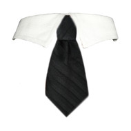 David Dog Tie Collar