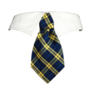 Harry Shirt Collar Dog Tie