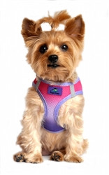 Raspberry Sundae Ombre American River Choke Free Dog Harness