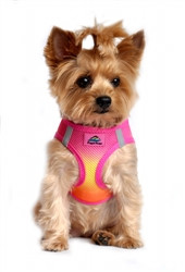 Raspberry Pink and Orange Ombre American River Choke Free Dog Harness