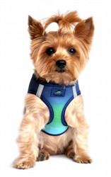 Northern Lights Ombre American River Choke Free Dog Harness