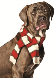Red and White Striped Dog Scarf