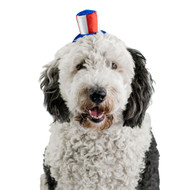 Midlee Uncle Sam 4th of July Hat for Large Dogs Headband- Captain Halloween Costume