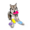 Image 3