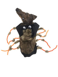 Midlee Scary Spider Costume