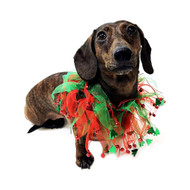 Midlee Jingle Bells and Christmas Trees Decorative Dog Collar