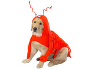 Casual Canine Lobster Paws Dog Costume, Small (fits up to 12" back length)