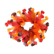 Midlee Thanksgiving Turkey Decorative Dog Collar