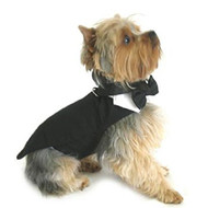 DOGGIE DESIGN Dog Tuxedo w/Formal Tails- Black, XXL (Chest 26-31")