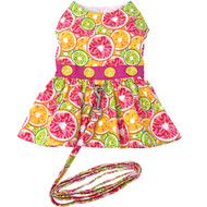 Doggie Design Citrus Slice Dog Dress with Matching Leash