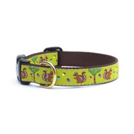Up Country Nuts Dog Collar - X-Large