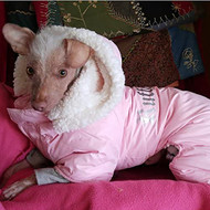 Doggie Design Ruffin It Dog Snowsuit Harness - Pink(Medium)
