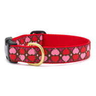 Up Country All Hearts Dog Collar - Small (9 to 15 Inches) 5/8 Inch Narrow Width