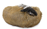 Carolina Pet Company Ombre Faux Fur Puff Ball Bed - 32"