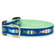 Up Country Fun-C-M Funky Fish Dog Collar - Medium (12 to 18 inches) 1 inch Wide Width