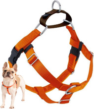 Freedom No-Pull Harness ONLY, Large Rust Orange