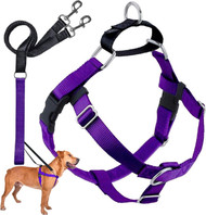 2 Hounds Design Freedom No-Pull Dog Harness Training Package, Medium (1" wide), Purple