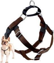 2 Hounds Design Freedom No-Pull No Leash Harness Only, 1-Inch, Large