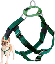2 Hounds Design Freedom No Pull Dog Harness | Comfortable Control for Easy Walking | Adjustable Dog Harness | Small, Medium & Large Dogs | Made in USA | Solid Colors | 1" XL Kelly Green