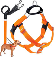 2 Hounds Design Freedom No Pull Dog Harness Large Neon Orange