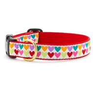 Up Country Pop Hearts Dog Collar - Small (9 to 15 Inches) 1 Inch Wide Width