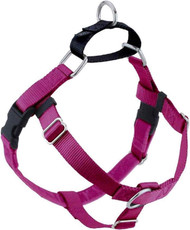 2 Hound Design Freedom No Pull Dog Harness 1" Medium Raspberry