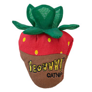 Yeowww! Catnip Strawberry Cat Toys - Chocolate