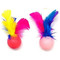 Image 3 Image 3