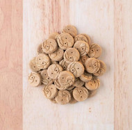 Earthborn Holistic EarthBites Bison & Pumpkin Grain-Free Crunchy Dog Treats - 10 oz