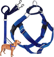 2 Hounds No-Pull Freedom Harness and Leash for Dog Walking, Royal Blue, 1" XXLarge