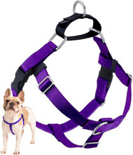 2 Hounds Design Freedom No Pull Adjustable Dog Harness | Comfortable Control for Easy Walking | Small, Medium & Large Dogs | 1" LG Purple