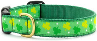 Up Country Shamrock Pattern Dog Collar, Medium (12 To 18 Inches) 1 Inch Wide Width