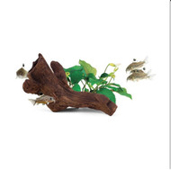 Aquavitro Ceramic Hides Aquatic Ornament B2