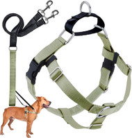 2 Hounds Design Freedom No Pull Dog Harness 1" Medium Tan
