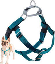 2 Hounds Design Freedom No Pull Dog Harness | Comfortable Control for Easy Walking | Adjustable Dog Harness | Small, Medium & Large Dogs | Made in USA | Solid Colors | 5/8" SM Teal
