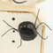 Image 3 Image 3