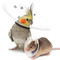 Image 4 Image 4