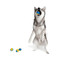 Image 3 Image 3