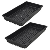 Super Sprouter Double Thick Tray 10 x 20 - No Hole (50/Cs)