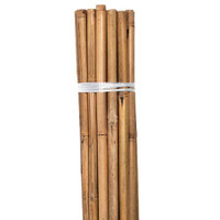 Grower's Edge Natural Bamboo 8 ft Bulk (50/Pack)