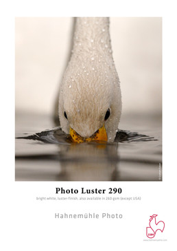 8.5"x11" Hahnemuhle Photo Luster 290 gsm 25 Sheets