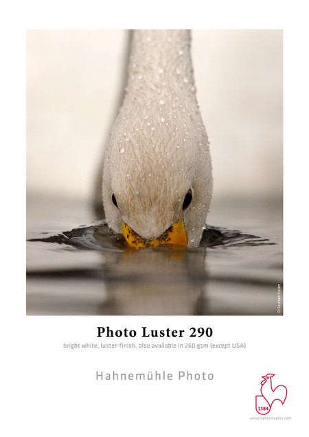 13"x19" Hahnemuhle Photo Luster 290 gsm 25 Sheets