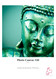 24" x 66' Hahnemuhle Photo Canvas 320 gsm Roll