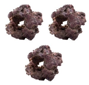 CaribSea LifeRock Donuts By Piece: $29 Per Rock *LOCAL ONLY, NO OUT OF STATE SHIPPING*