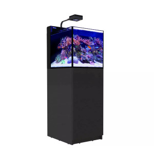 26 Gallon LIVE CORALS REEF WITH FISH Aquarium Complete Set Up (LOCAL ONLY, NO OUT OF STATE*)