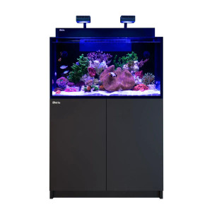 53 Gallon LIVE CORALS REEF WITH FISH Aquarium Complete Set Up  (LOCAL ONLY, NO OUT OF STATE*)