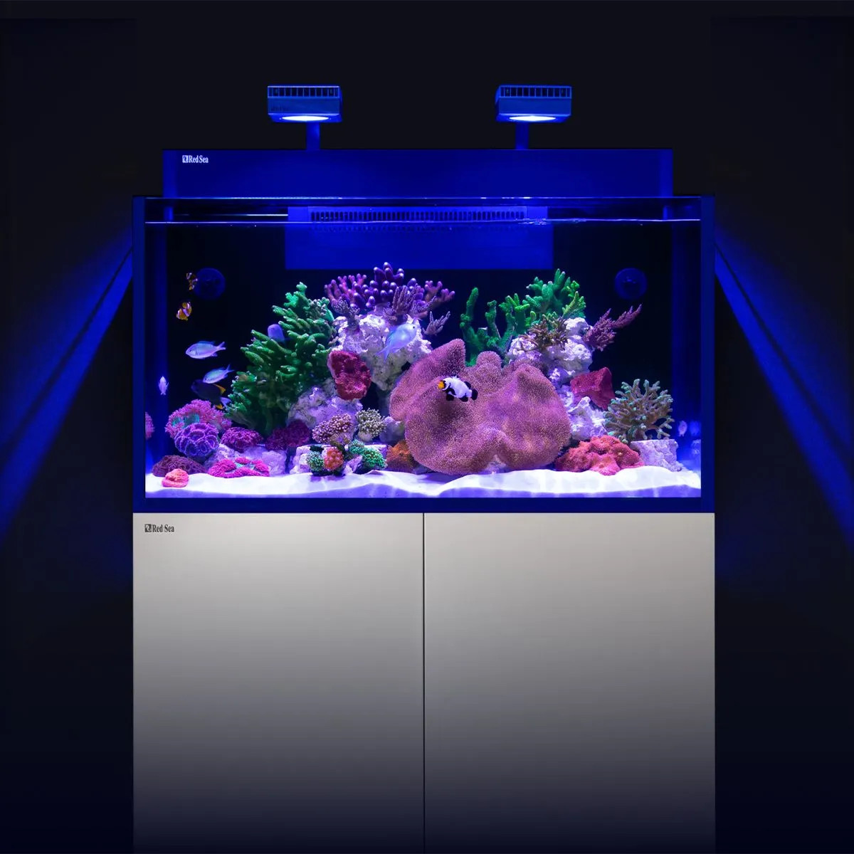 RED SEA MAX NANO G2 XXL Aquarium (53 Gallon)