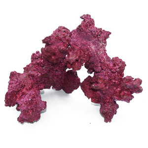 Real Reef Arches Medium Rock $39 Each *LOCAL ONLY, NO OUT OF STATE SHIPPING*