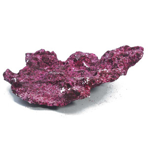 Real Reef Mini Shelf Rock $15 Each *LOCAL ONLY, NO OUT OF STATE SHIPPING*